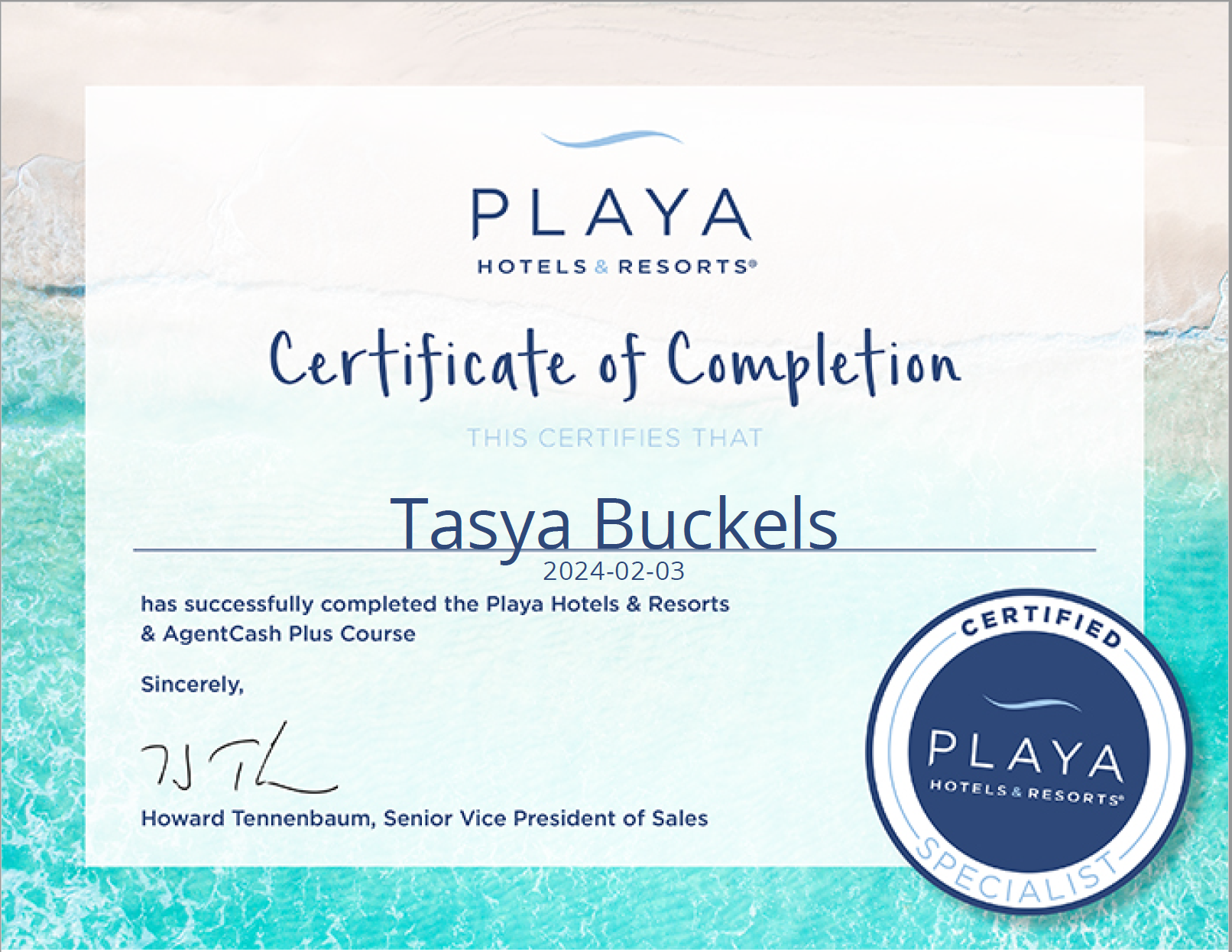Playa-Hotels-and-Resorts-Expert
